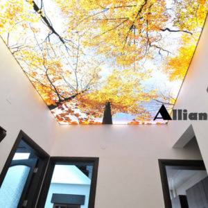 Double vision Double vision