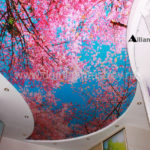 Фотопотолок