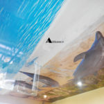 Фотопотолок