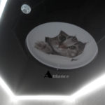 Фотопотолок